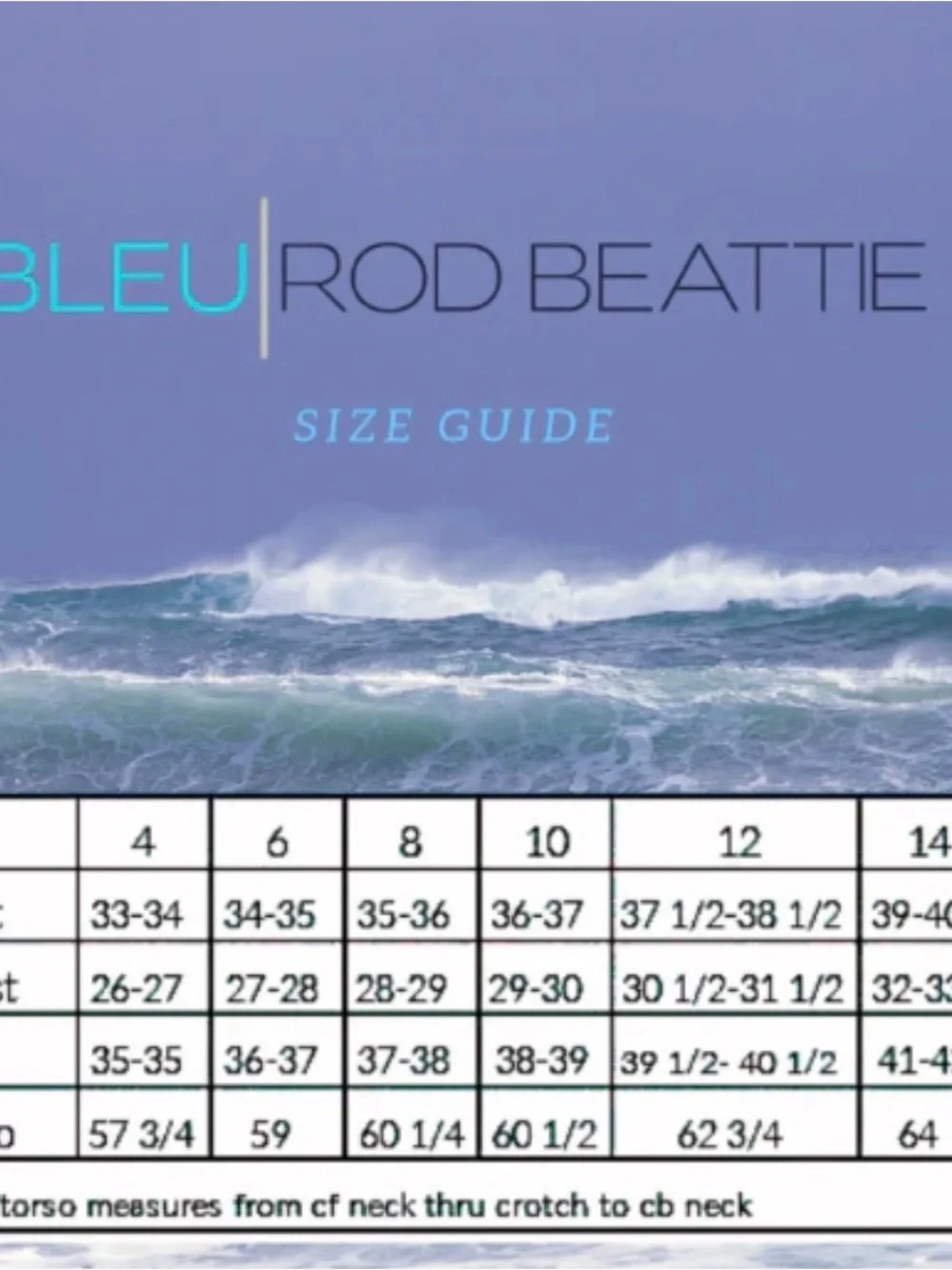 Bleu Rod Beattie Black Deep V One-Piece Swimsuit - Picture 4 of 7